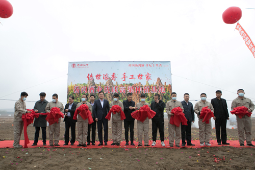 20210423优质高粱种植基地”揭牌并剪彩